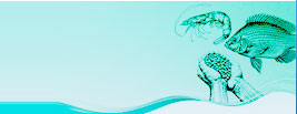 Aquaculture Nutrition and Feed Science